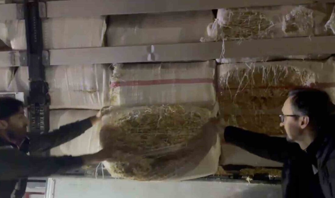 TEM otoyolunun İzmit geçişinde durdurulan bir tırın dorsesinde yapılan aramada,