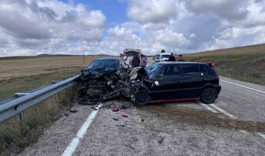 Bayburt’ta 187 adet ölümlü yaralanmalı trafik kazası meydana geldi Türkiye İstatistik Kurumu (TÜİK), 2024 yılı kara yolu trafik kaza