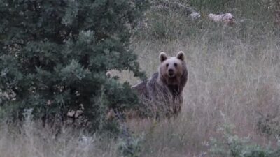 Bayburt’un Aydıntepe ilçesine bağlı Kavlatan köyünün cami yemekhanesine ve çay