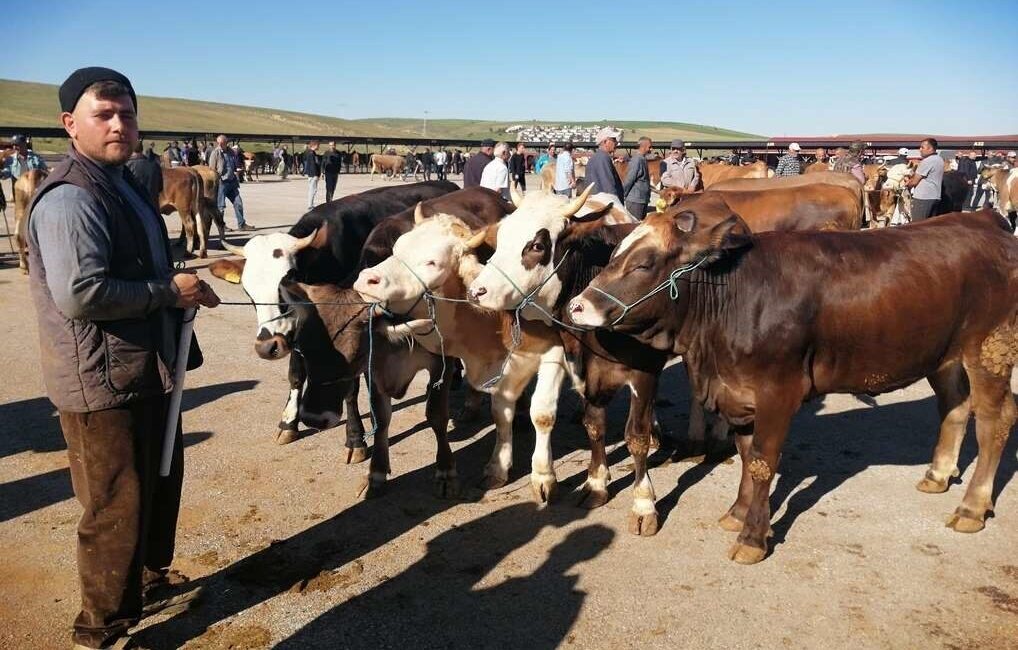 Bayburt’ta Hayvan Satış Pazarı’nda hazırlık çalışmaları sürerken kurban kesim yerleri