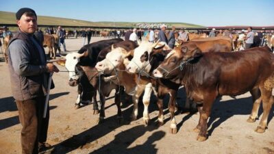 Bayburt’ta Hayvan Satış Pazarı’nda hazırlık çalışmaları sürerken kurban kesim yerleri
