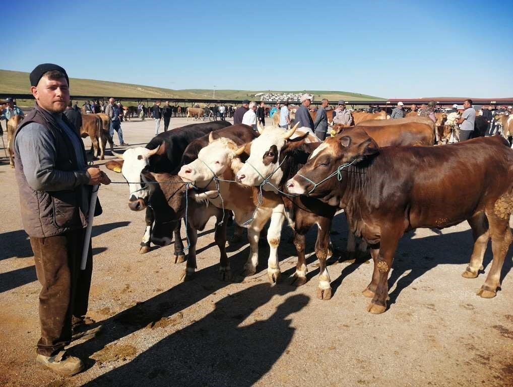 Bayburt’ta Hayvan Satış Pazarı’nda hazırlık çalışmaları sürerken kurban kesim yerleri