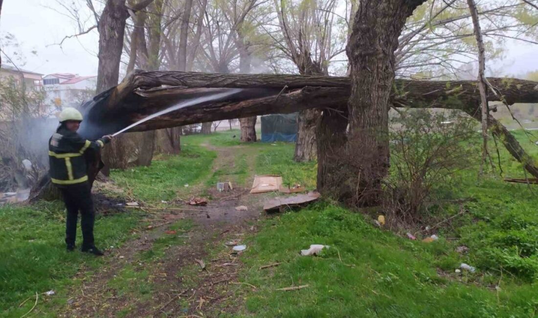Bayburt’ta etkili olan gök gürültülü sağanak yağış sonrası bir ağaca