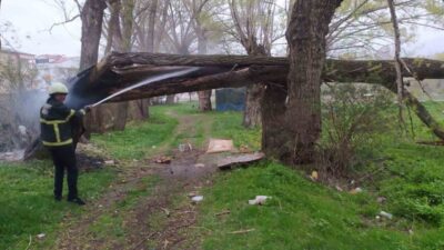 Bayburt’ta etkili olan gök gürültülü sağanak yağış sonrası bir ağaca