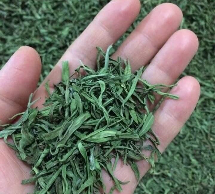 Bayburt’ta yüzde 70 devlet katkılı, sertifikalı tarhun fidesi dağıtımı yapılacak.