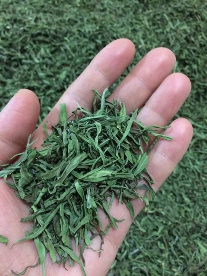 Bayburt’ta yüzde 70 devlet katkılı, sertifikalı tarhun fidesi dağıtımı yapılacak.