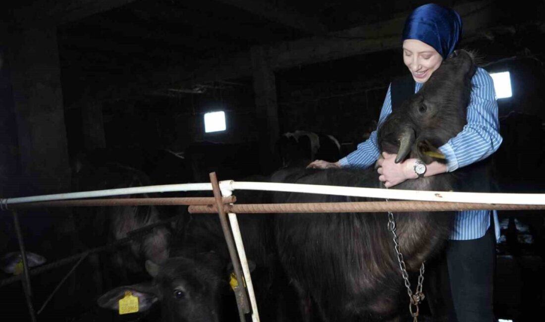 Bayburtlu genç kadın girişimci Şafak Eraslan, devletten aldığı 100 bin