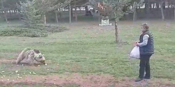 Erzincan’ın Refahiye ilçesi Dumanlı Yaylası’nda sağlık personeli Serkan Kelle, Çemşit