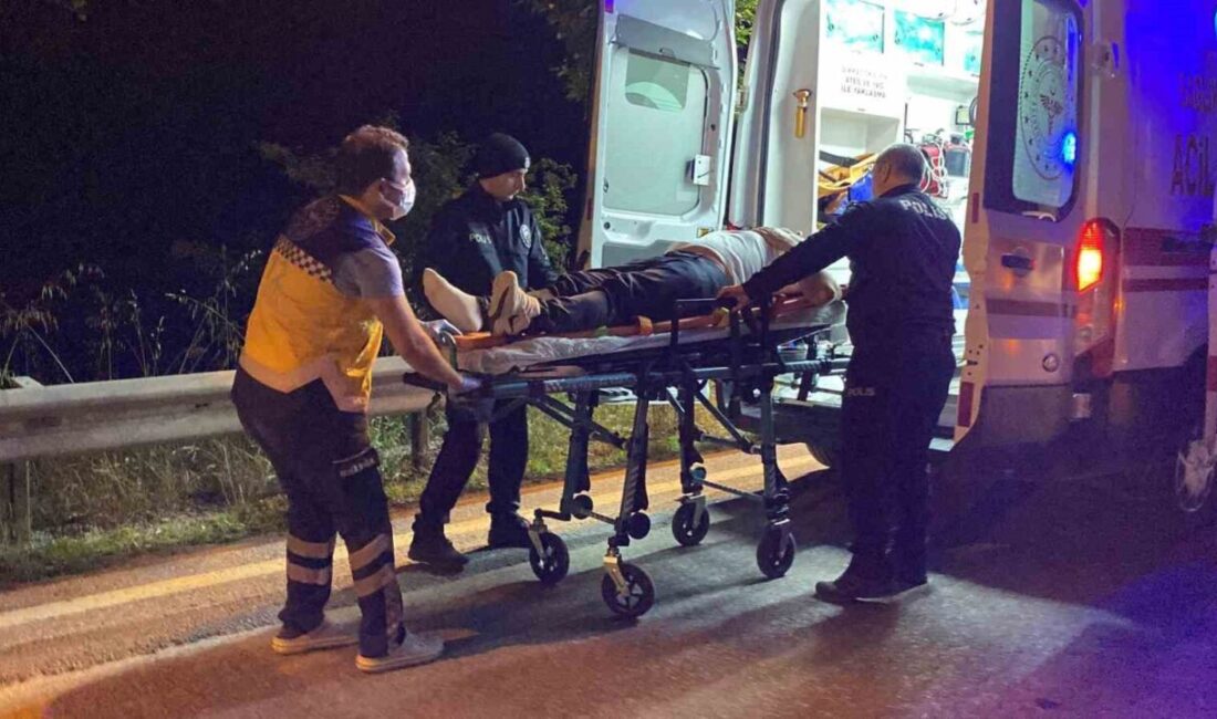 D-100 kara yolunun Kocaeli geçişinde gece saatlerinde kamyon ve iki