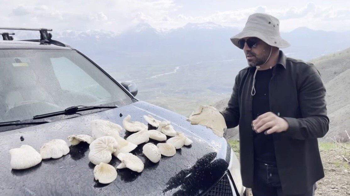 Erzincan’da 2 bin rakımın üzerinde kendiliğinden doğada yetişen “çaşır” mantarının