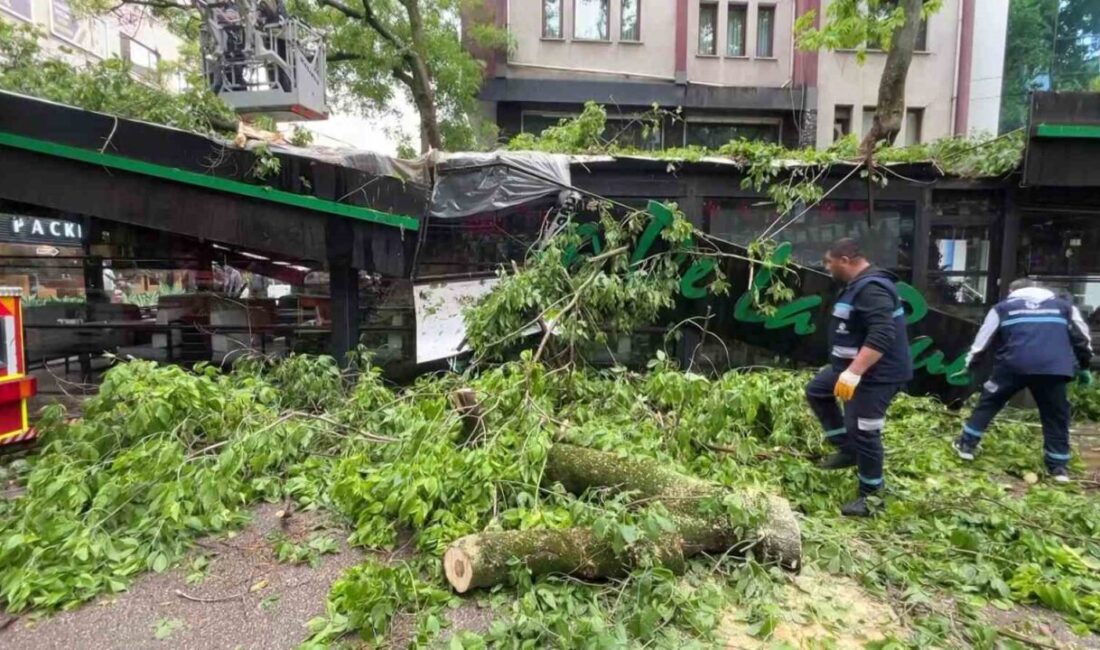 Kocaeli’nin İzmit ilçesinde öğle saatlerinde etkili olan şiddetli rüzgar ve