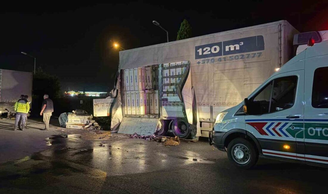 Anadolu Otoyolu Sakarya geçişinde dinlenme tesisinde park halinde bulunan duvar