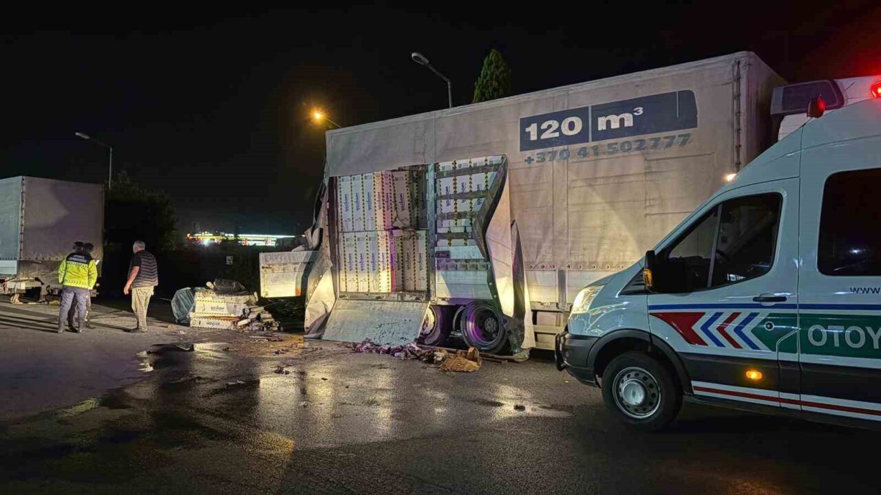 Anadolu Otoyolu Sakarya geçişinde dinlenme tesisinde park halinde bulunan duvar