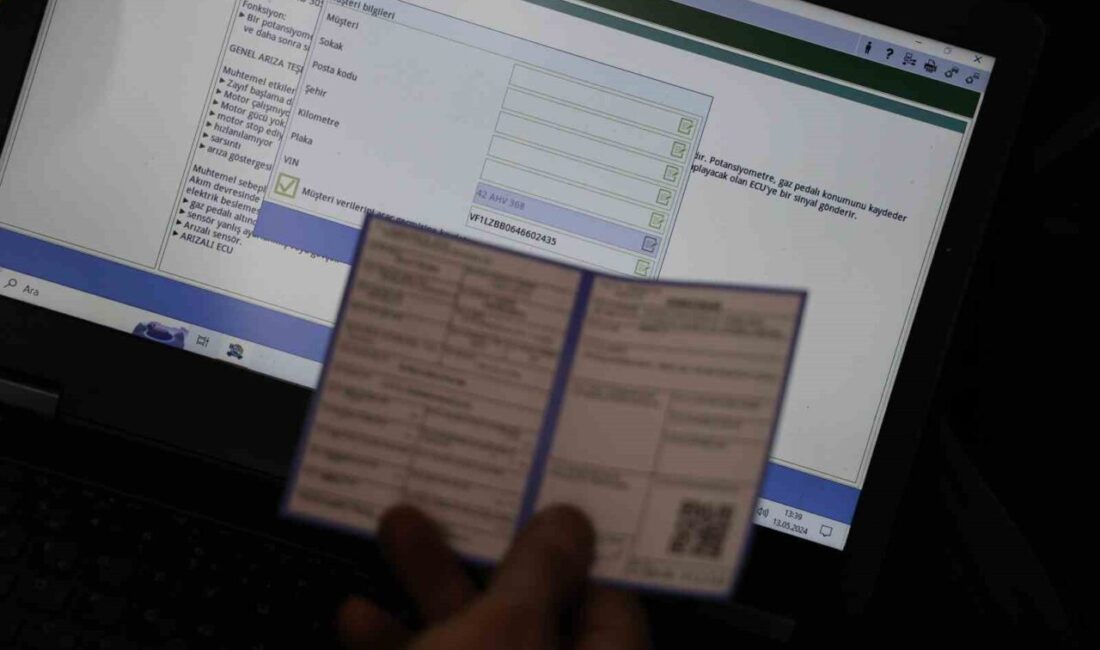 Yaklaşan Kurban Bayramı ve yaz döneminin gelmesiyle birlikte hareketlenme sürecine