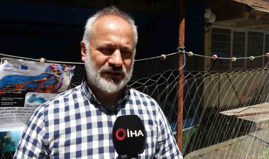 Karadeniz’de yunus balığı popülasyonunun son yıllarda arttığı, buna bağlı olarak