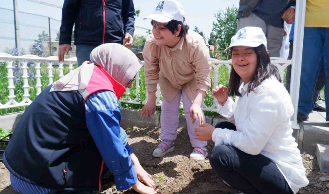 Erzurum Büyükşehir Belediyesi Engelli Hizmetleri Koordinasyon Merkezi, engellilere yönelik örnek