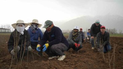 Erzincan Bahçe Kültürleri Enstitüsü’nde toprakla buluşturulan fidanlar bölgenin ihtiyacını karşılıyor.