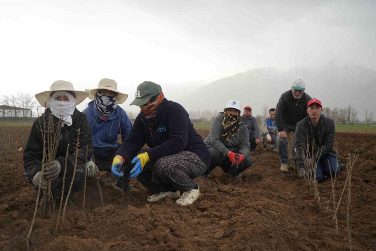 Erzincan Bahçe Kültürleri Enstitüsü’nde toprakla buluşturulan fidanlar bölgenin ihtiyacını karşılıyor.