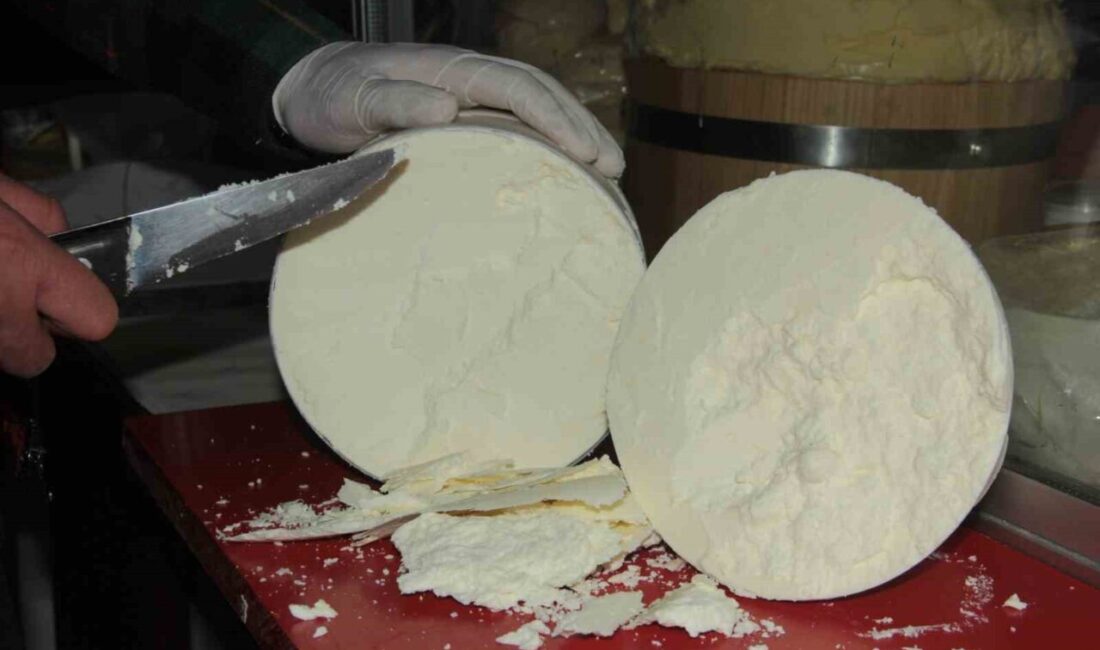 Erzincan’ın meşhur tulum peyniri, Avrupa Birliği’nden (AB) coğrafi işaret tescili