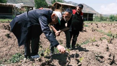 Erzincan Tarım ve Orman İl Müdürlüğü Bitkisel Üretim ve Bitki