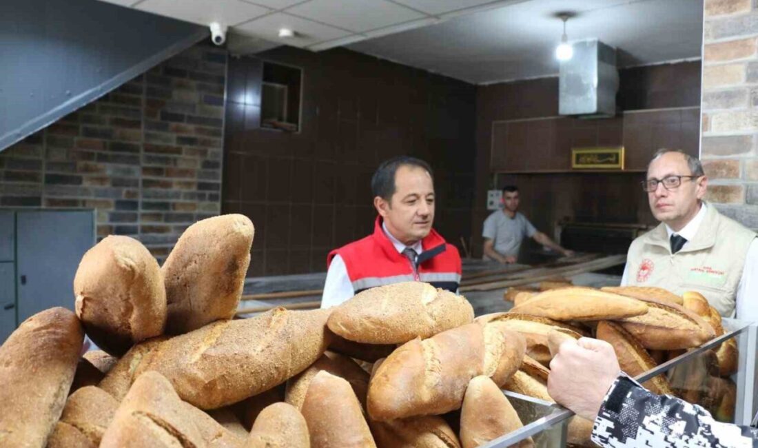 Erzincan Tarım ve Orman İl Müdürlüğü gıda denetim ekipleri tarafından