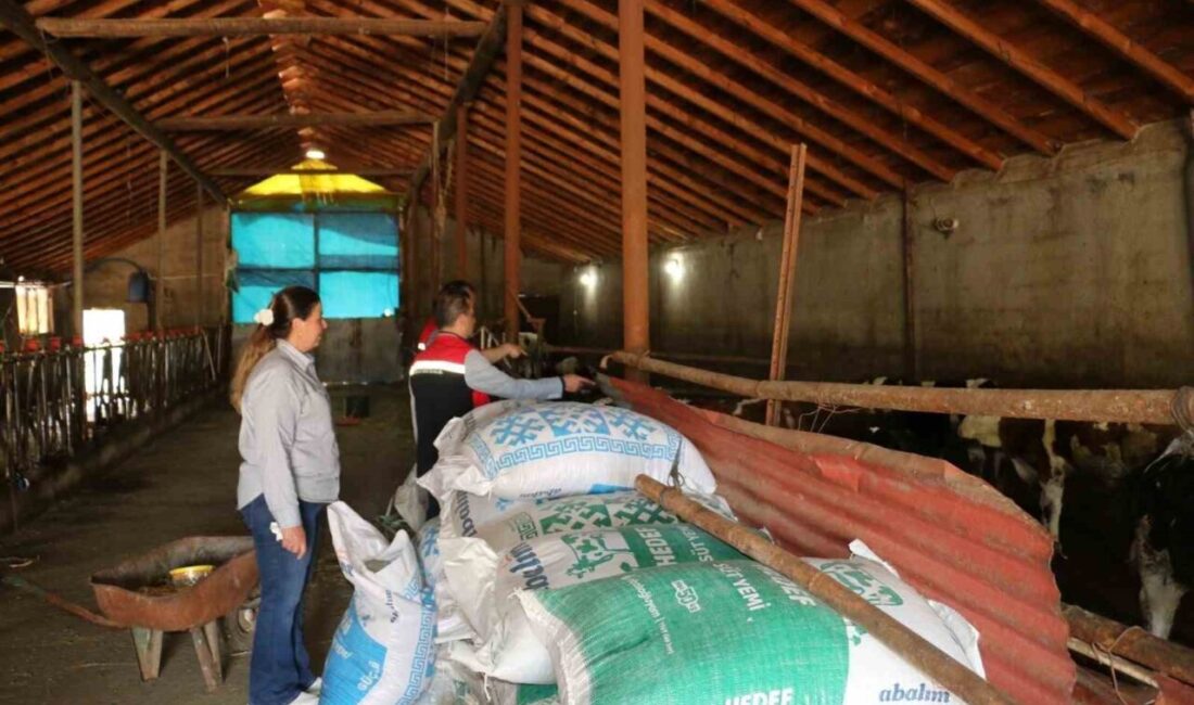 Erzincan’ın Üzümlü ilçesine bağlı Ocakbaşı Köyü Muhtarı Asuman Akpolat, köyde