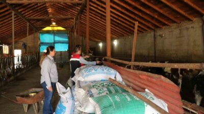 Erzincan’ın Üzümlü ilçesine bağlı Ocakbaşı Köyü Muhtarı Asuman Akpolat, köyde