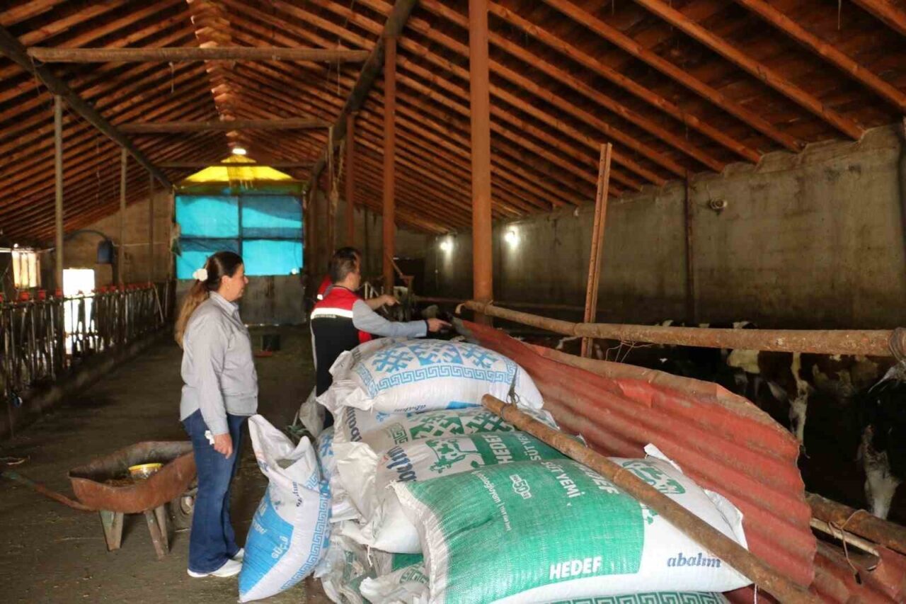 Erzincan’ın Üzümlü ilçesine bağlı Ocakbaşı Köyü Muhtarı Asuman Akpolat, köyde