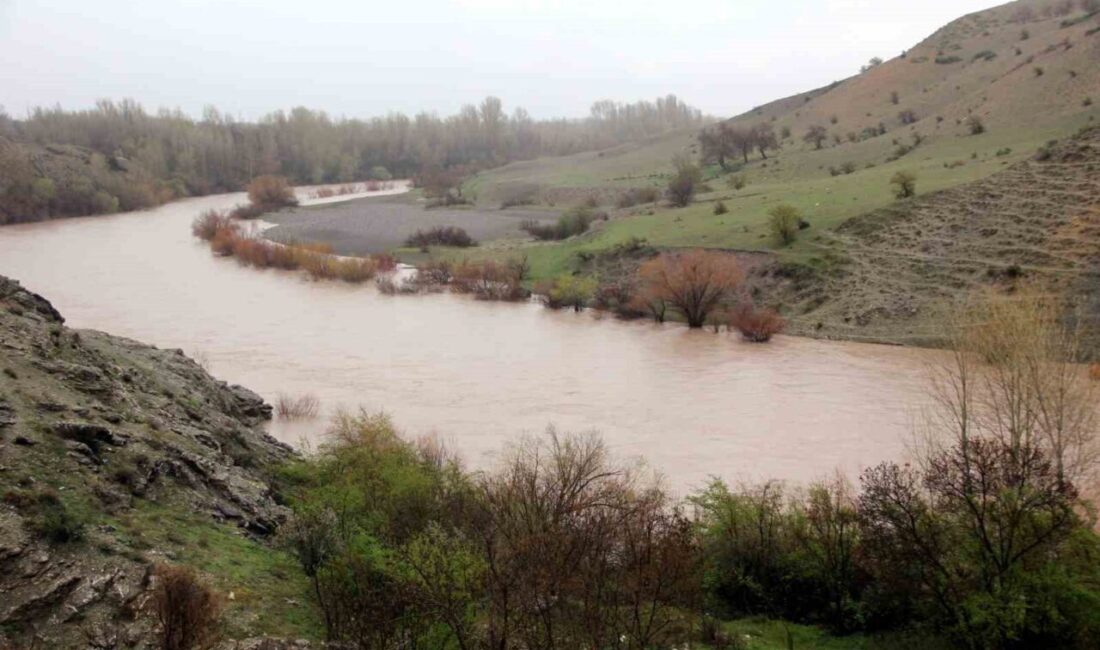 Erzincan’da etkili olan yağmur nedeniyle Karasu ve Fırat Nehri’nin debisi