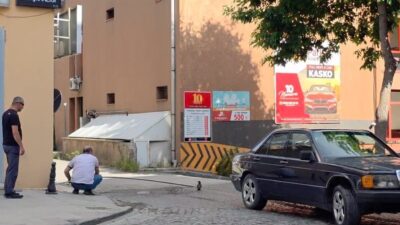 Erzincan’da aracın altında kalmak üzere olan yavru karga, duyarlı vatandaşların