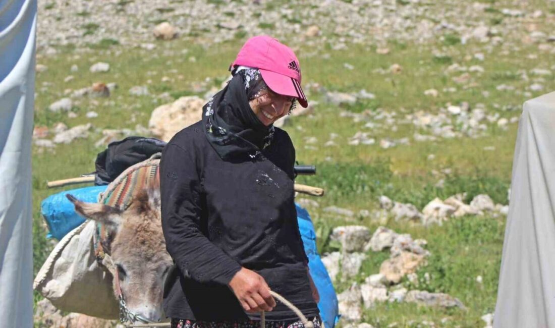 Erzincan’da yaza doğru yüksek rakımlı yaylalara çıkan göçerler zor hayat