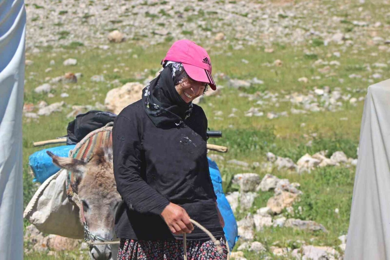Erzincan’da yaza doğru yüksek rakımlı yaylalara çıkan göçerler zor hayat