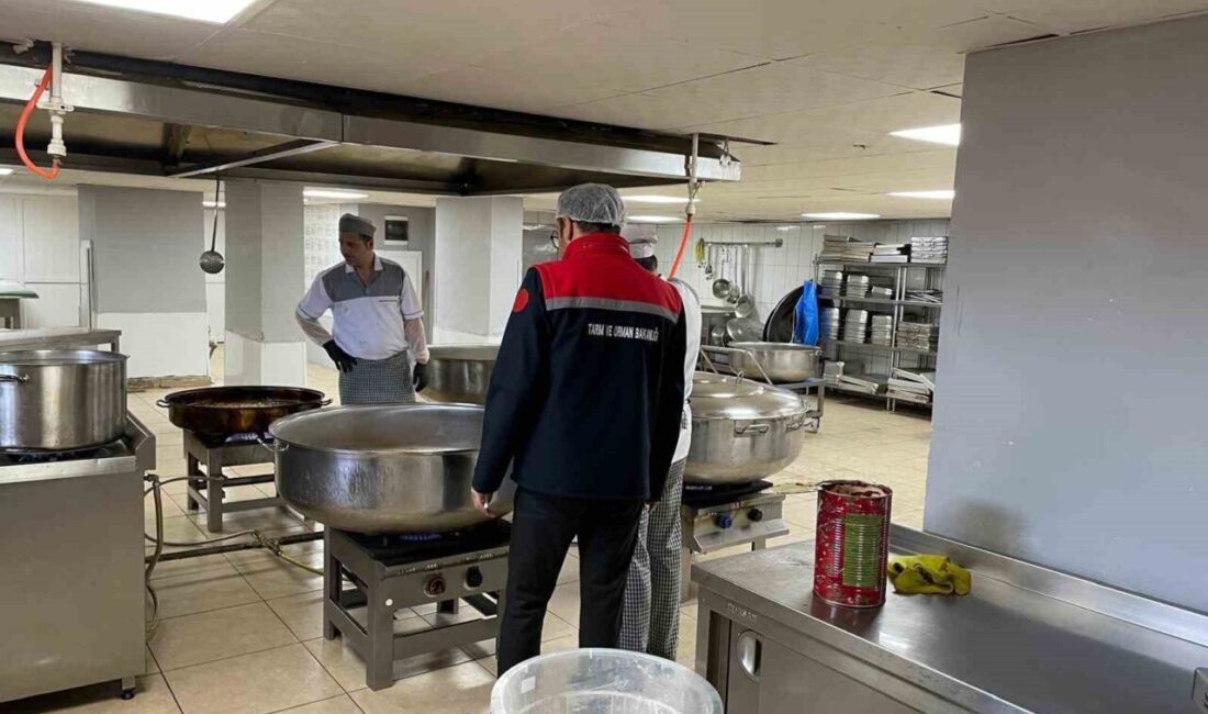 Erzurum’da yem, gıda ve gıda ile temas eden madde, malzeme