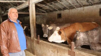 Erzurum’da Kurban Bayramı’nın yaklaşmasıyla canlı hayvan pazarlarının haraketlenmesi beklenirken, 85-90