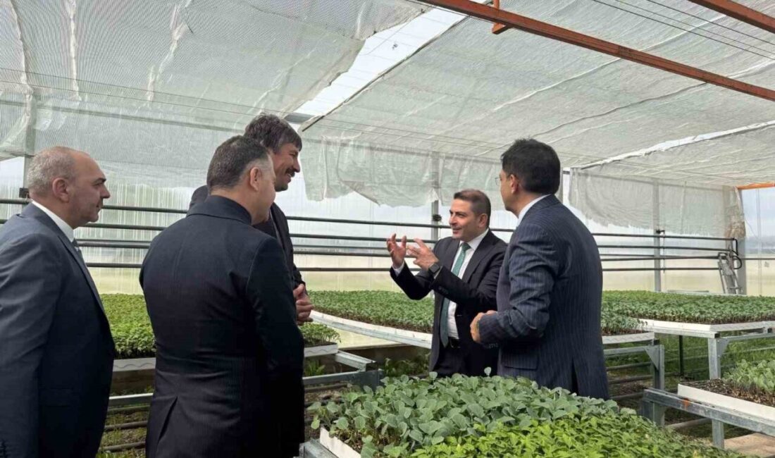 Aziziye Yavuz Selim Tarım Mesleki ve Teknik Anadolu Lisesi, DAP