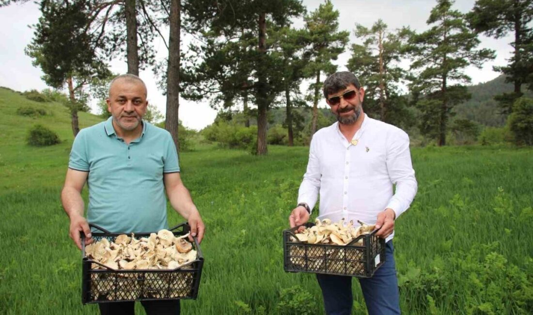 Acil Tıp Uzmanı Dr. Ömer Faruk İşleyen, bahar mevsimi ile