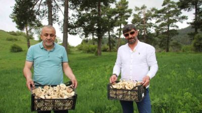 Acil Tıp Uzmanı Dr. Ömer Faruk İşleyen, bahar mevsimi ile