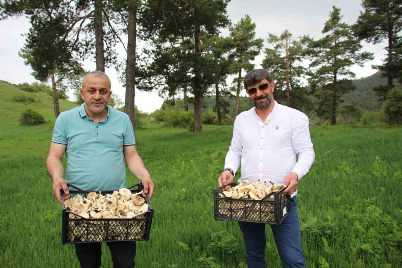 Acil Tıp Uzmanı Dr. Ömer Faruk İşleyen, bahar mevsimi ile