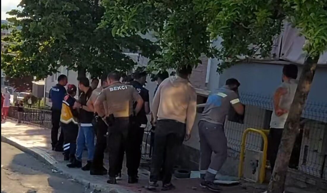 Sinop’un Boyabat ilçesinde bir apartman dairesinde çıkan yangın paniğe neden
