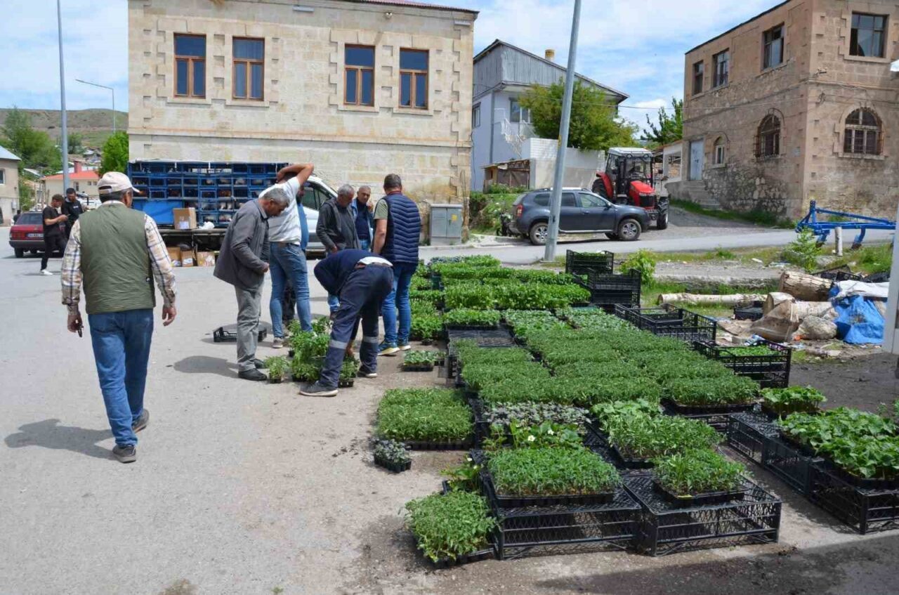 Erzincan’ın Tercan ilçesinde sebze fidesi telaşı başladı. Tercan ilçesinde, bahçesinde