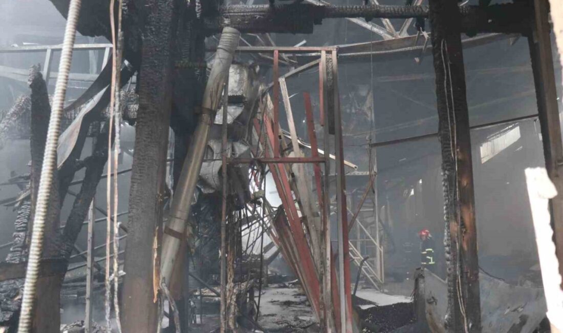 Sakarya’nın Karasu ilçesinde fındık kırım fabrikasında çıkan yangın, ekiplerin uzun