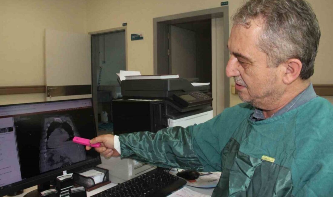 Giresun Eğitim ve Araştırma Hastanesi, dünya tıp literatürüne geçecek nitelikte