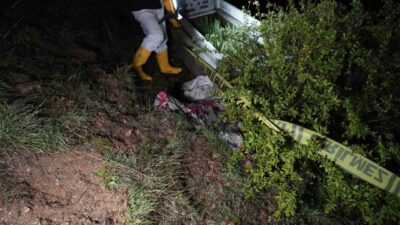 Gümüşhane’de kış uykusundan uyanan ve yiyecek arayan ayı, mezarlığa inerek