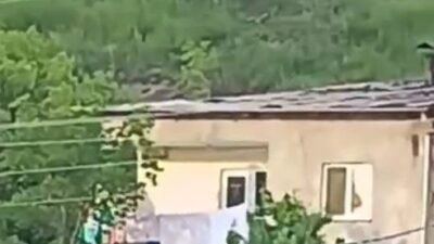 Gümüşhane’nin Eskibağlar Mahallesi’nde gündüz saatlerinde görülen bir ayı, vatandaşları tedirgin