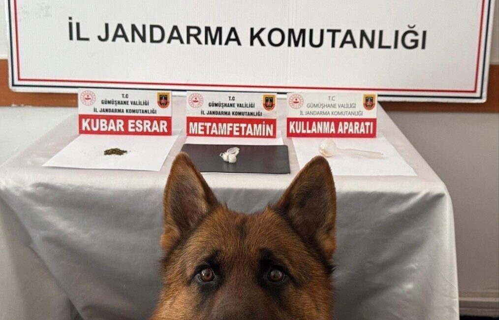 Trabzon’dan Gümüşhane’ye uyuşturucu getiren 2 şüpheli jandarma operasyonuyla yakalandı. Gümüşhane