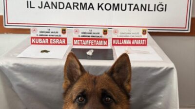 Trabzon’dan Gümüşhane’ye uyuşturucu getiren 2 şüpheli jandarma operasyonuyla yakalandı. Gümüşhane