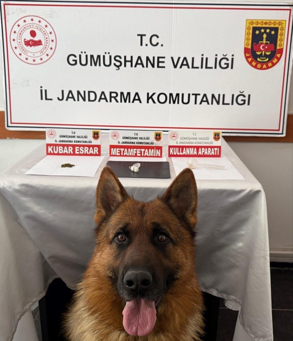 Trabzon’dan Gümüşhane’ye uyuşturucu getiren 2 şüpheli jandarma operasyonuyla yakalandı. Gümüşhane