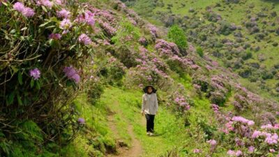 Gümüşhane Dağcılık, Doğa Sporları Gençlik ve Spor Kulübü Derneği (GÜDAK)
