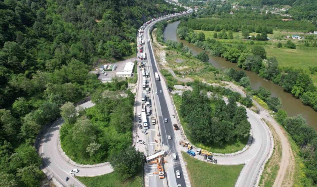 Türkiye’nin önemli geçiş güzergahlarından biri olan Sakarya-Bilecik D-650 kara yolunun