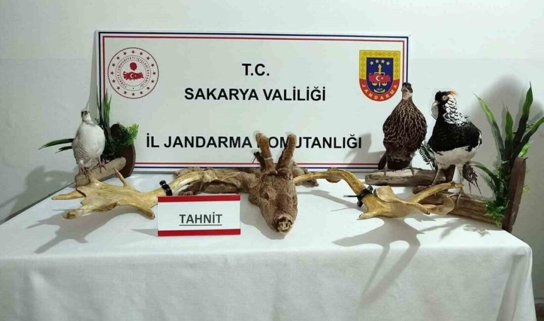 Sakarya’nın Geyve ilçesinde kaçakçılık ve hayvanlara karşı işlenen suçlarla mücadele